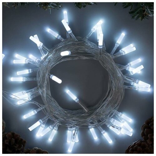   5    , IP20,  , 50 LED,  , 8 , 220  464