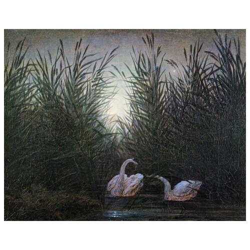 ����������� �� ������ ������ � ������� (Swans among the reeds) ������� ������ ����� 38��. x 30��. 1200�