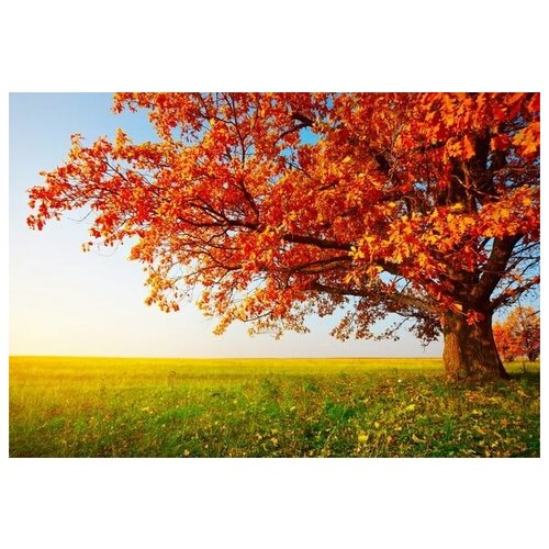      (Tree in autumn) 1 73. x 50. 2640