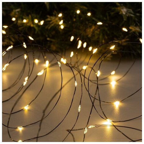 Luazon Lighting �������� ������ 10 � ����, IP20, ������ ����, 100 LED, �������� ����� �����, 12 � 743�