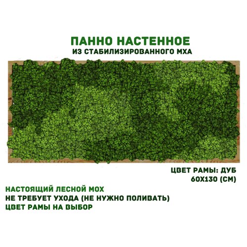 ����� �� ���������������� ��� GardenGo � ����� ����� ���, 50�100 ��, ���� ��� ������� 25920�