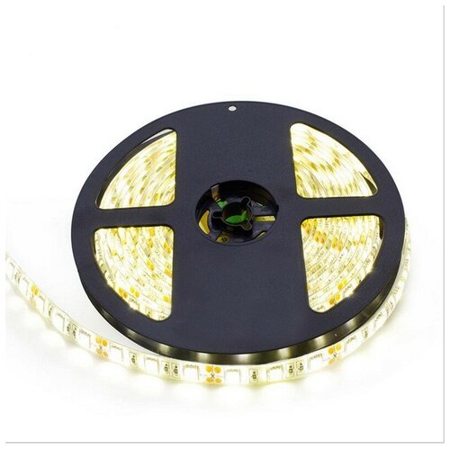   SMD5050-60LED--12V Double line 5. -  :  3000-3500K 2500