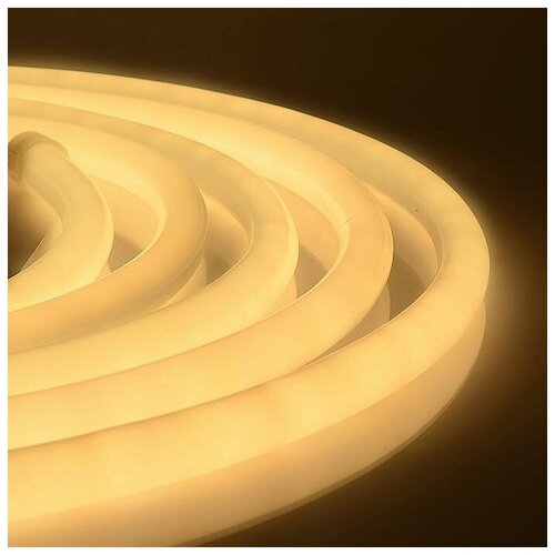 Luazon Lighting �������� ���� Luazon Lighting 11 ��, IP65, 100 �, 24 LED/�, 220 �, 2W, ���������� ��������, �������� ������� 15466�