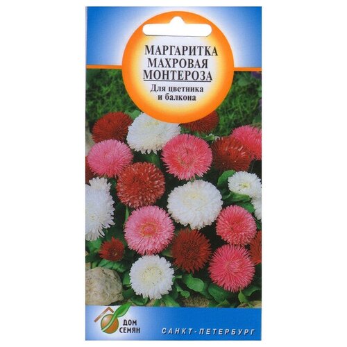 Семена Маргаритка махровая Монтероза 300шт для дачи, сада, огорода, теплицы / рассады в домашних условиях 376р