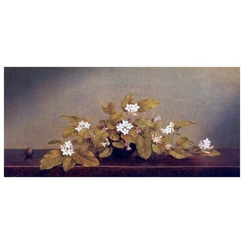     (Flowers) 24    86. x 40. 2610