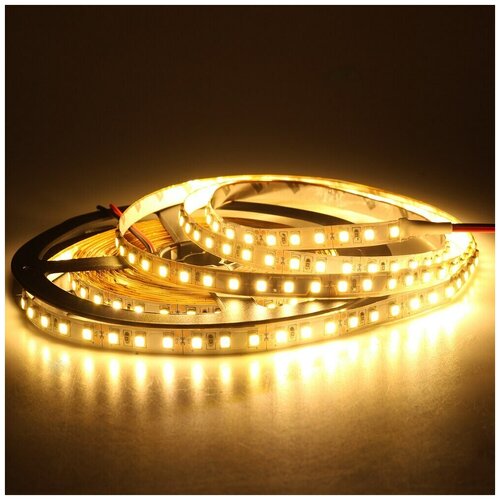   IP22 SMD 2835 (60 LED) 12V DC 24W DLED   360