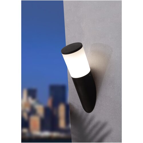 ���������� ������� ��������� FUMAGALLI AMELIA FS BLACK OPAL E27 FILAMENT LED 6W 2,7K 3730�