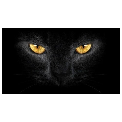      (Black cat) 71. x 40. 2230