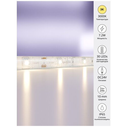   Led Strip 10163 2450