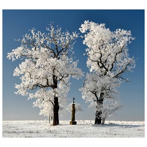      (Snow-covered trees) 1 55. x 50. 2130
