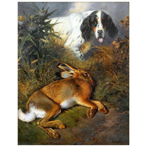        (An English Setter with Hare)   40. x 51. 1750