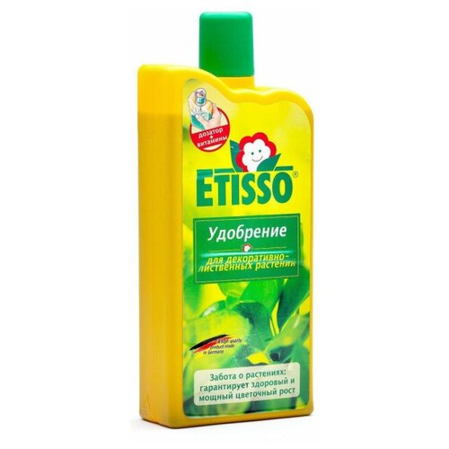      - ,   , 1. Etisso,  1250  ETISSO