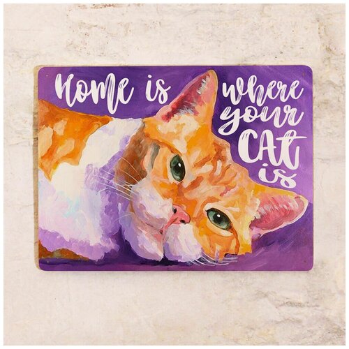   Home is where your cat is, , 3040  1275
