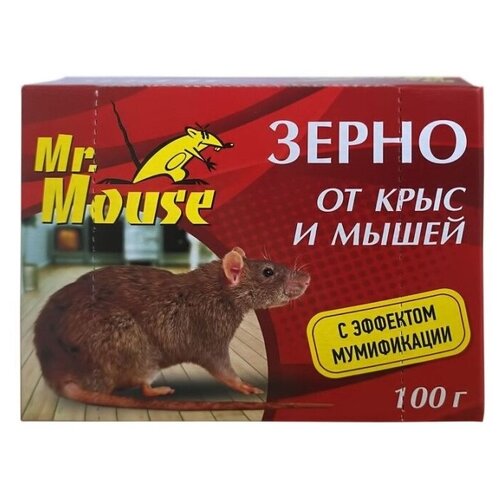      Mr. Mouse 100  91