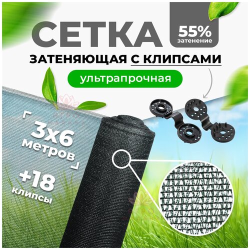 ���������� ����� 55% 3�6� (����������) / ����� �� ���� / ����� ������� �������� ��� ������ ������ / ����� �� ������ 1253�