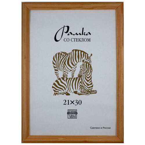 Zebra ��������� 30�40 �� (1701) ������ 484�
