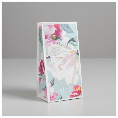 ����� ���������� ��� ����� Gift for you, 10 ? 19.5 ? 7 �� 68�