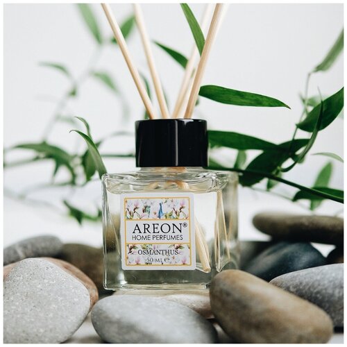   /   Areon (Osmanthus/) 50 411