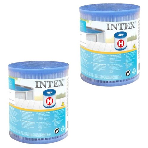 Intex   2       29007 630