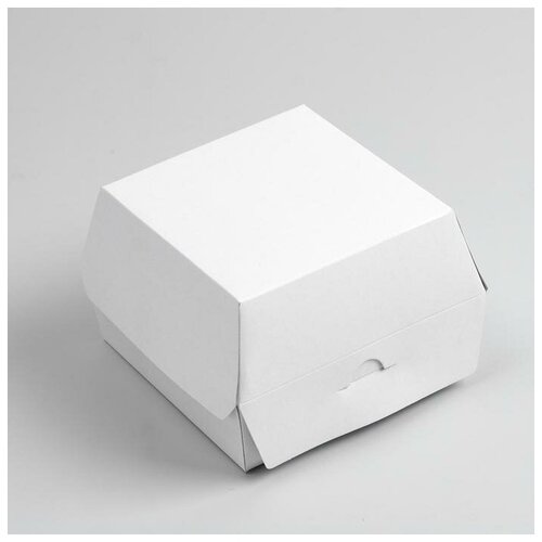 ������� ��� �������, 13 x 13 x 9 ��, 20 ��. 888�