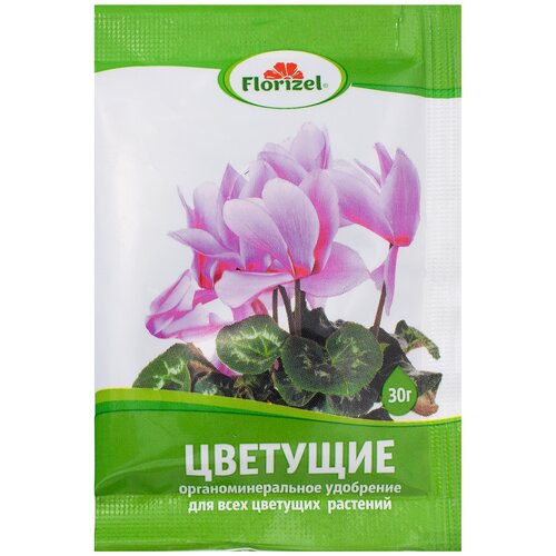 ��������� Florizel ��� �������� �������� ��� 0.03 �� 385�