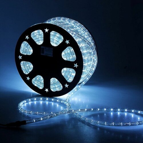   13 , IP65, 100 , 36 LED/, 220 , 3W, ,   19098