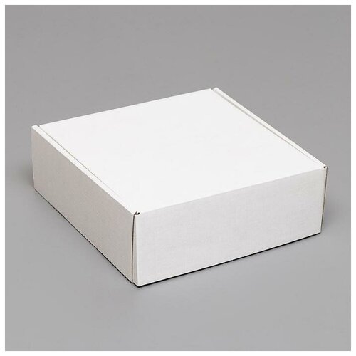 Market-Space ������� �����������, �����, 23 � 23 � 8 �� 705�