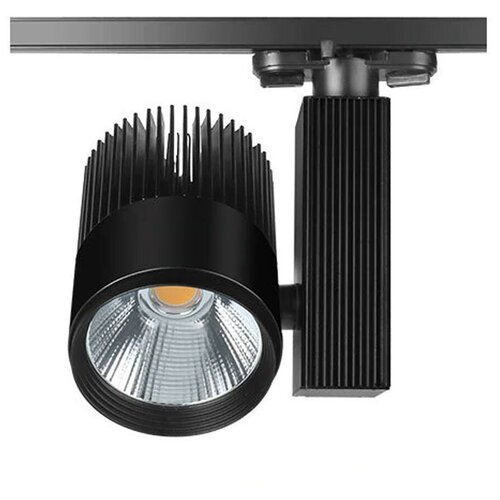    Spotlight, 30 , 3- , 4500 , ,  4650  CLEVERLIGHT