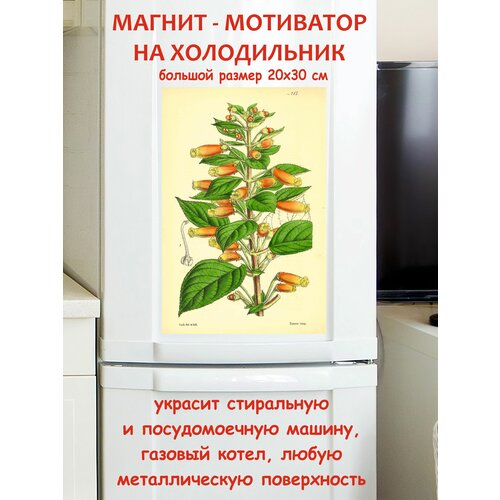 �������� ������ ������ �� ����������� 20 �� 30 �� 790�