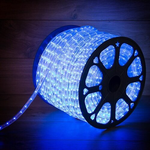      , , 24 LED/,  10, 100 ,   / , Neon-Night,  14366  NEON-NIGHT