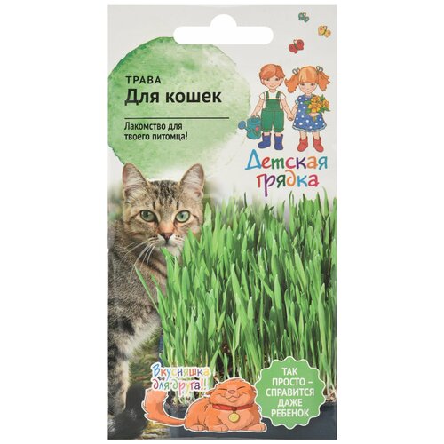 Трава для кошек 10 г Детская грядка / семена для проращивания / кошачья микрозелень для животных / для котов и кошек 149р