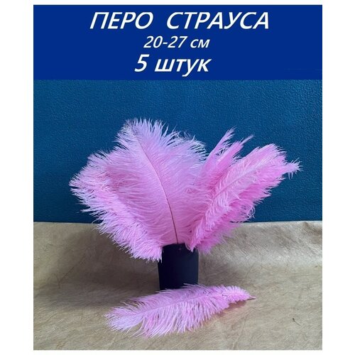 ���� ������� 20-27 �� 5 �� 430�