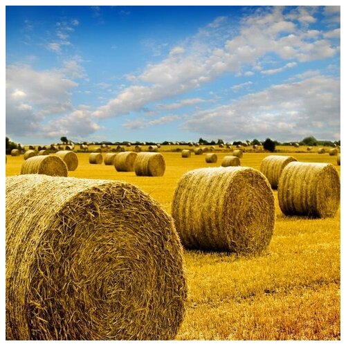      (Haystacks) 4 50. x 50. 1980