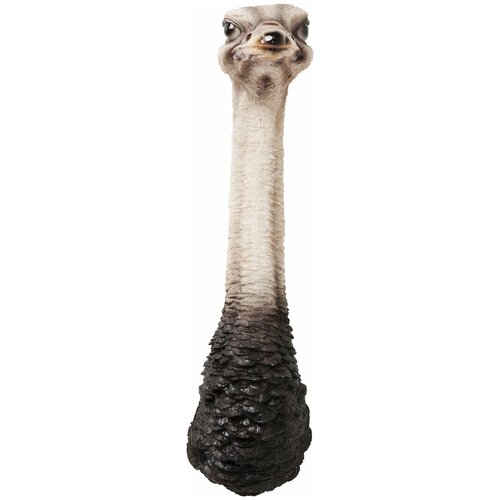 KARE Design   Ostrich,  