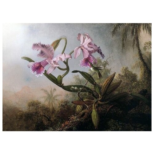        (Orchids and Hummingbird) 2    69. x 50.,  2530   