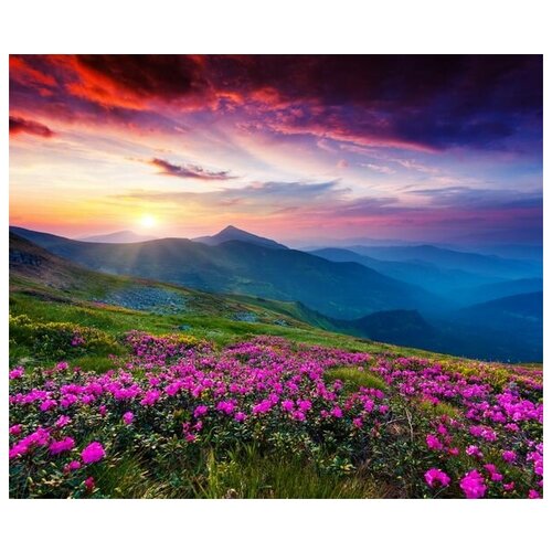        (Flowers in the mountains at sunset) 2 36. x 30.,  1130   