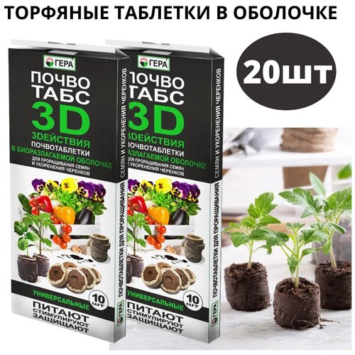 �������� �������� � �������� 20�� ��������� 3D ������������� 290�