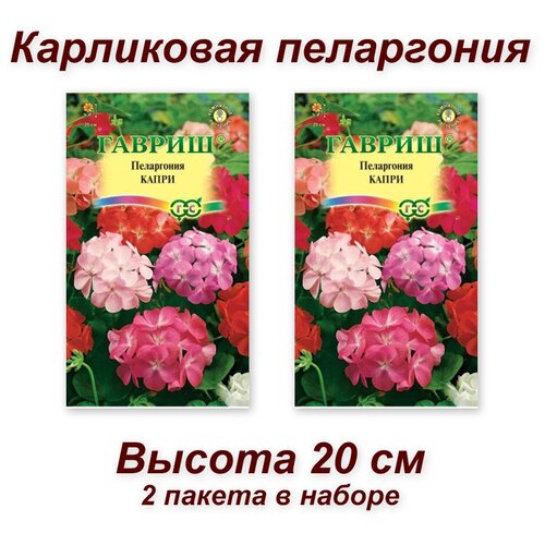 Набор семян, семена комнатных цветов карликовая Пеларгония 399р