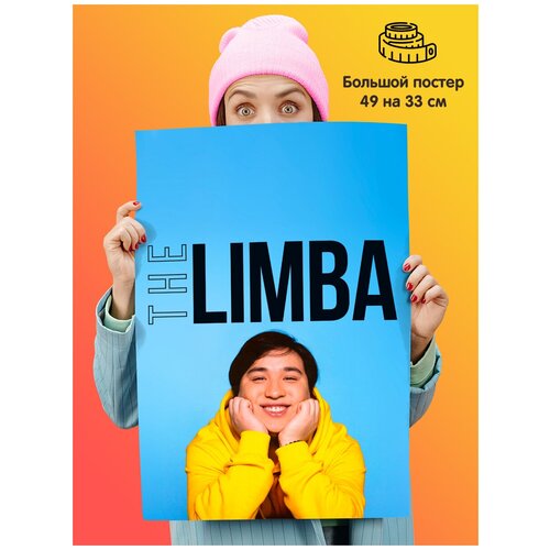      the limba 339