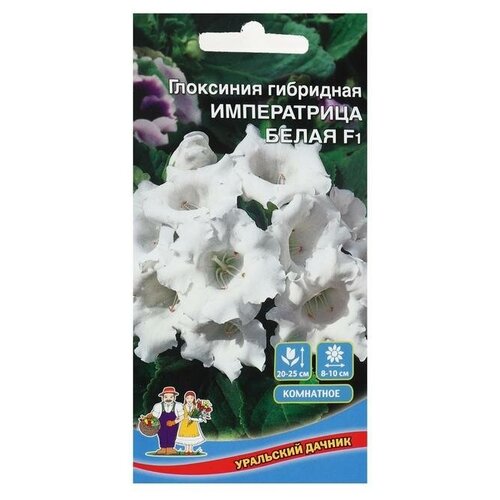 --- Семена комнатных цветов Глоксиния гибридная 