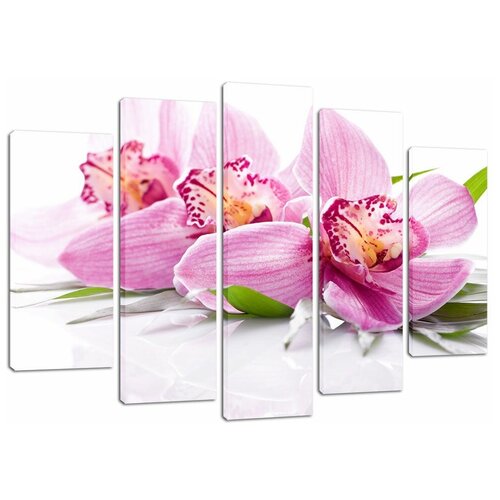 ��������� ������� Decorshop 71 ������� ������� 80*125 �� 1790�