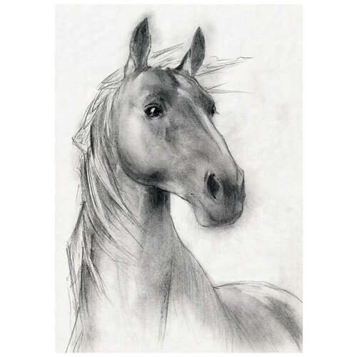   (Horse) 11 50. x 70. 2540