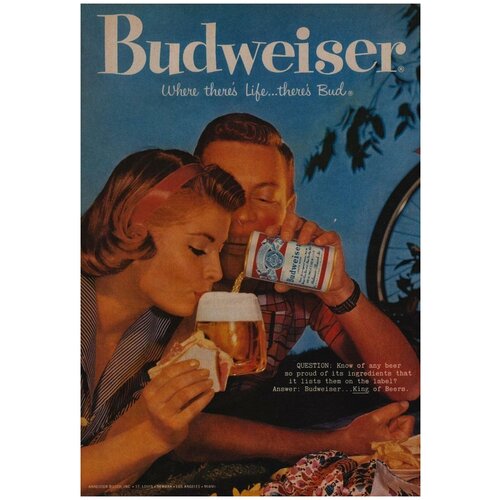   /  /    -  Budweiser 5070    ,  1090  
