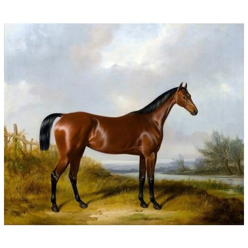     (Horse) 4 60. x 50. 2260