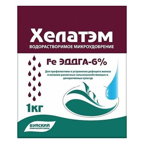 ������� FE �����-6% 1�� 1600�
