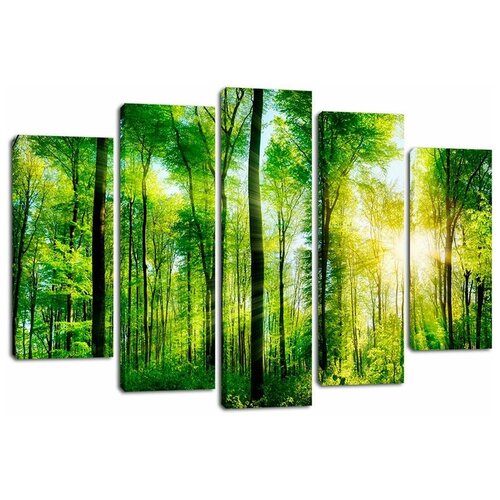 ������� ��������� Decorshop 589 ��������� ���� 80*125 �� 1790�