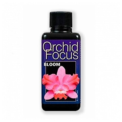    ( ) Orchid Focus Bloom 100 . 700