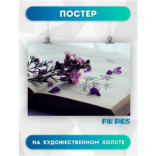 ������ �� ����� ��� ��������� ����� � �������� ������� ��������� ���������� �������� ��������� (867) 30�40 �� 504�