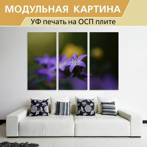 ��������� ������� 