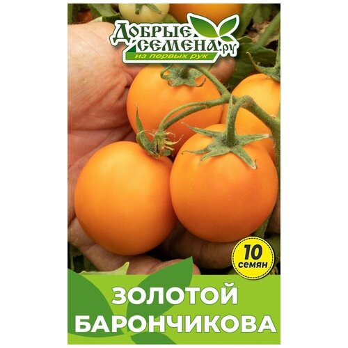 Семена томата Золотой Барончикова - 10 шт - Добрые Семена.ру 144р